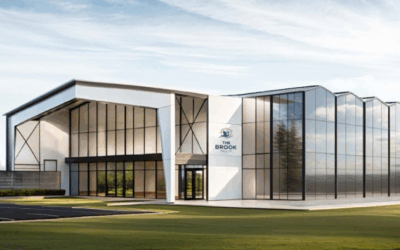 10 Reasons Why Our Blog is the Best